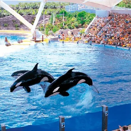 Sweet In Golf Del Sur, Ap236 With Heated Pool And Ocean View *