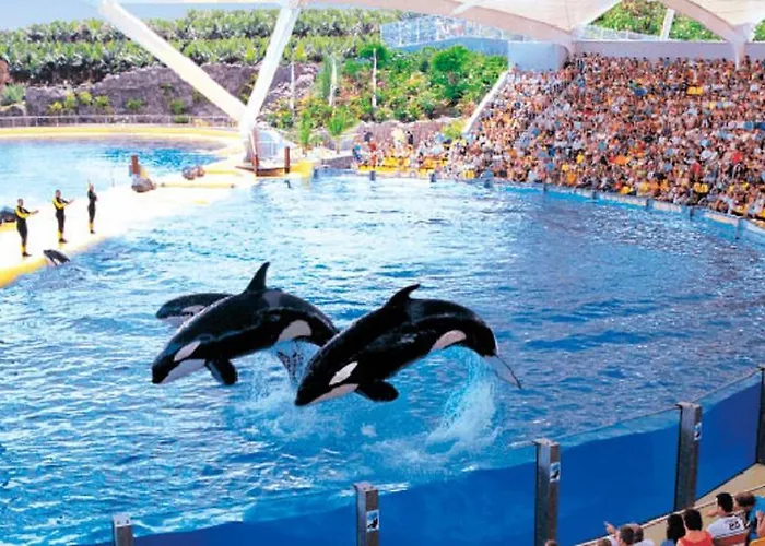 Sweet In Golf Del Sur, Ap236 With Heated Pool And Ocean View *